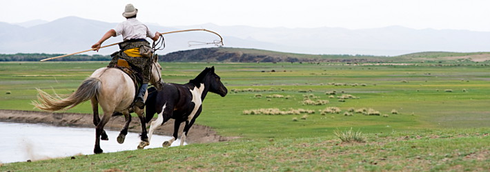 Pferdejagd während einer Mongolei Reise